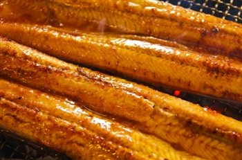 魚の食べ方探求